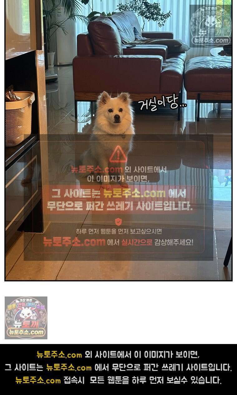 극한견주 시즌2 105화 안전문 설치 26