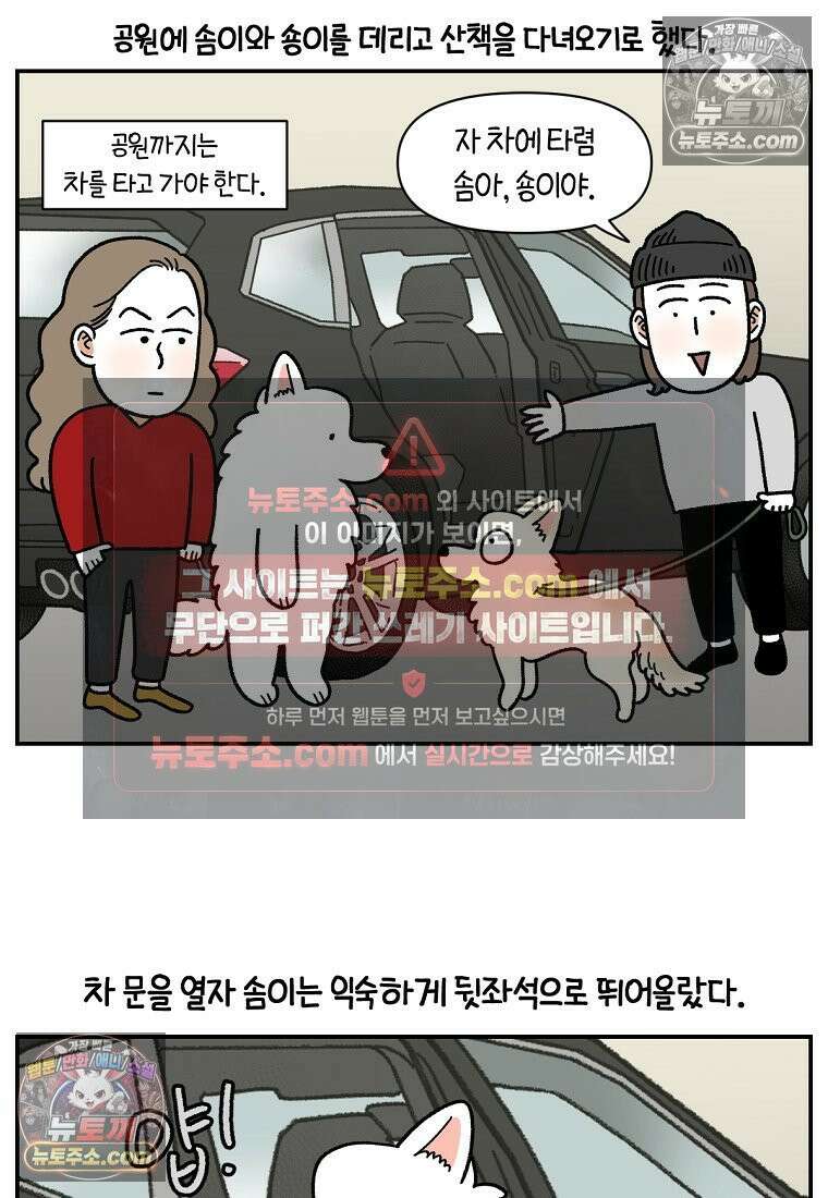 극한견주 시즌2 115화 자동차타기 2