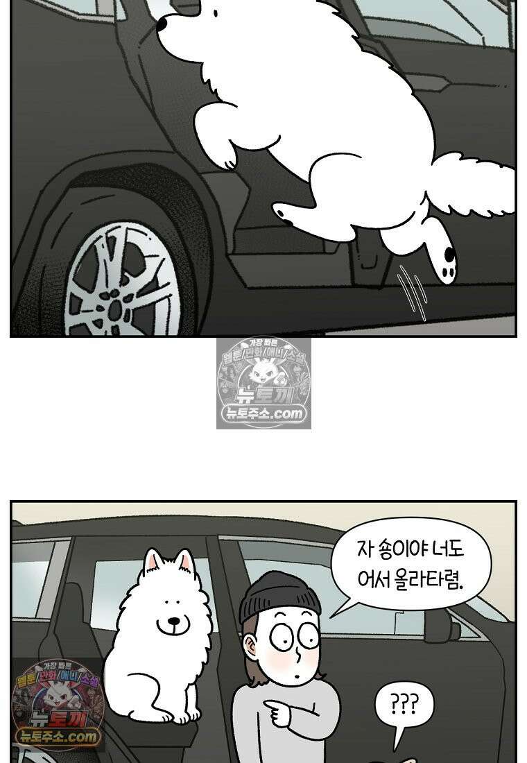 극한견주 시즌2 115화 자동차타기 3