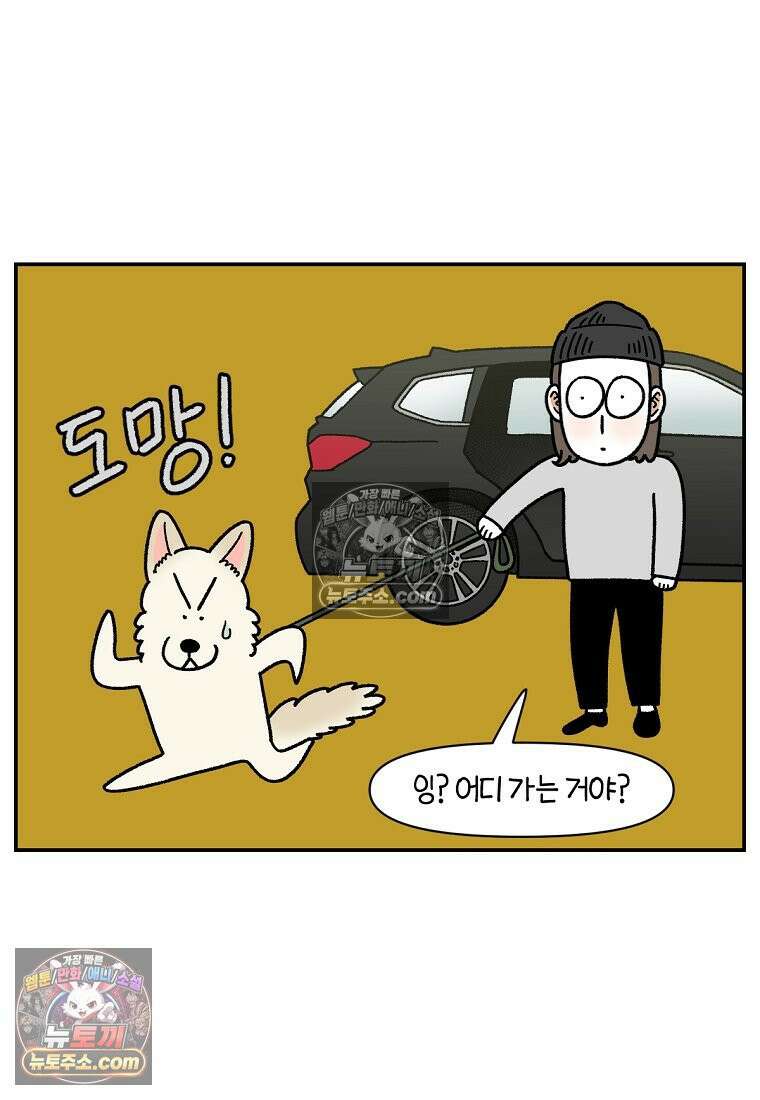 극한견주 시즌2 115화 자동차타기 5