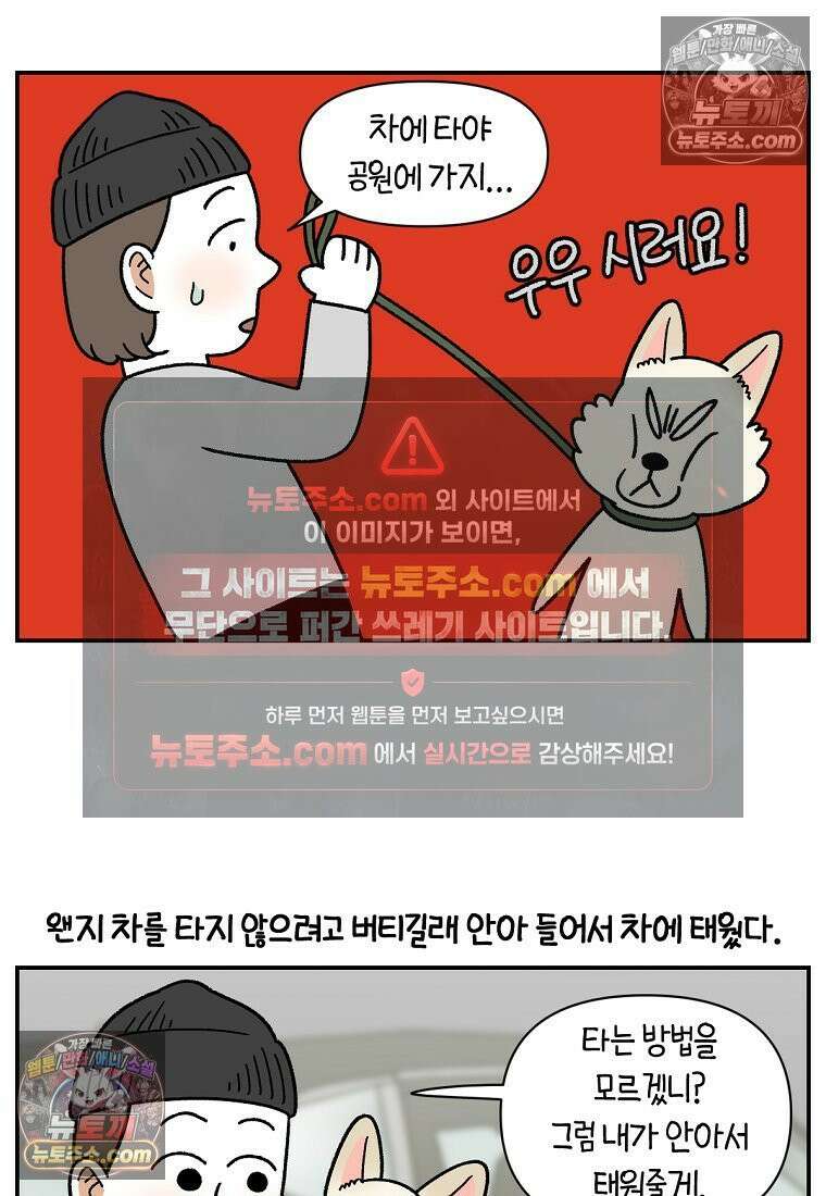 극한견주 시즌2 115화 자동차타기 6