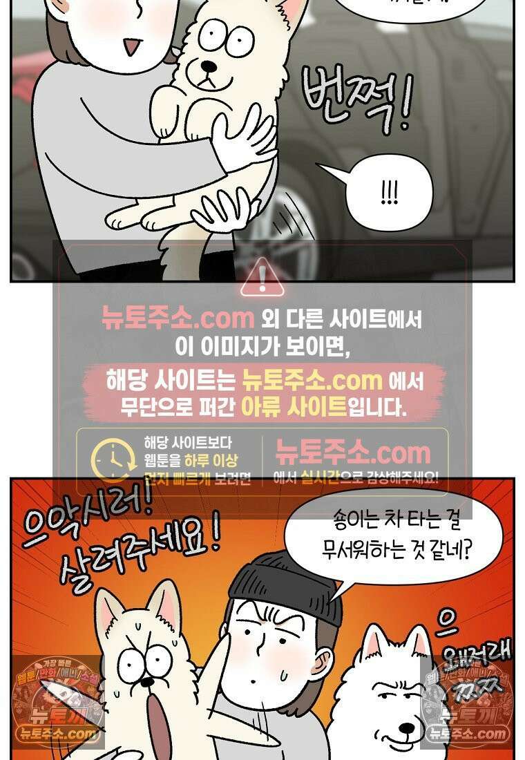 극한견주 시즌2 115화 자동차타기 7
