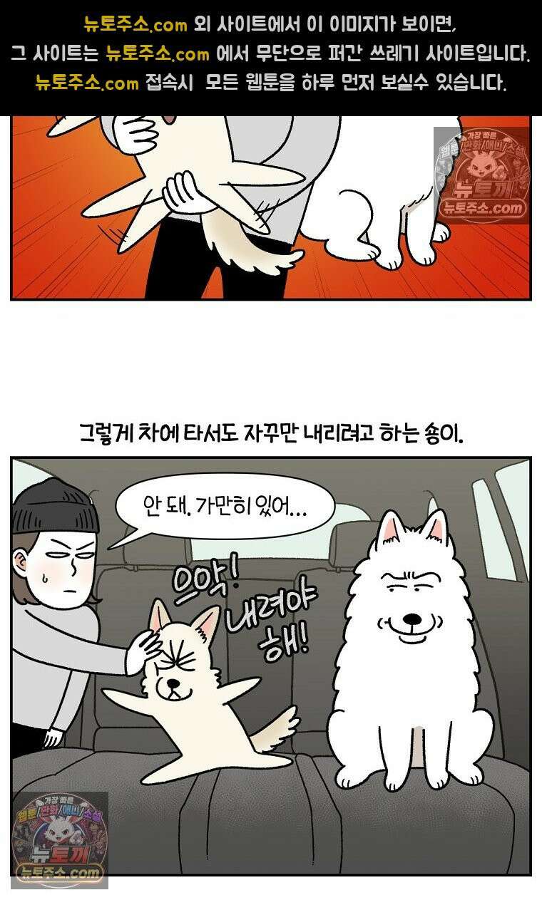 극한견주 시즌2 115화 자동차타기 8