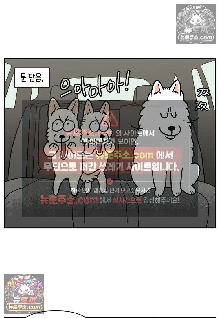 극한견주 시즌2 115화 자동차타기 9