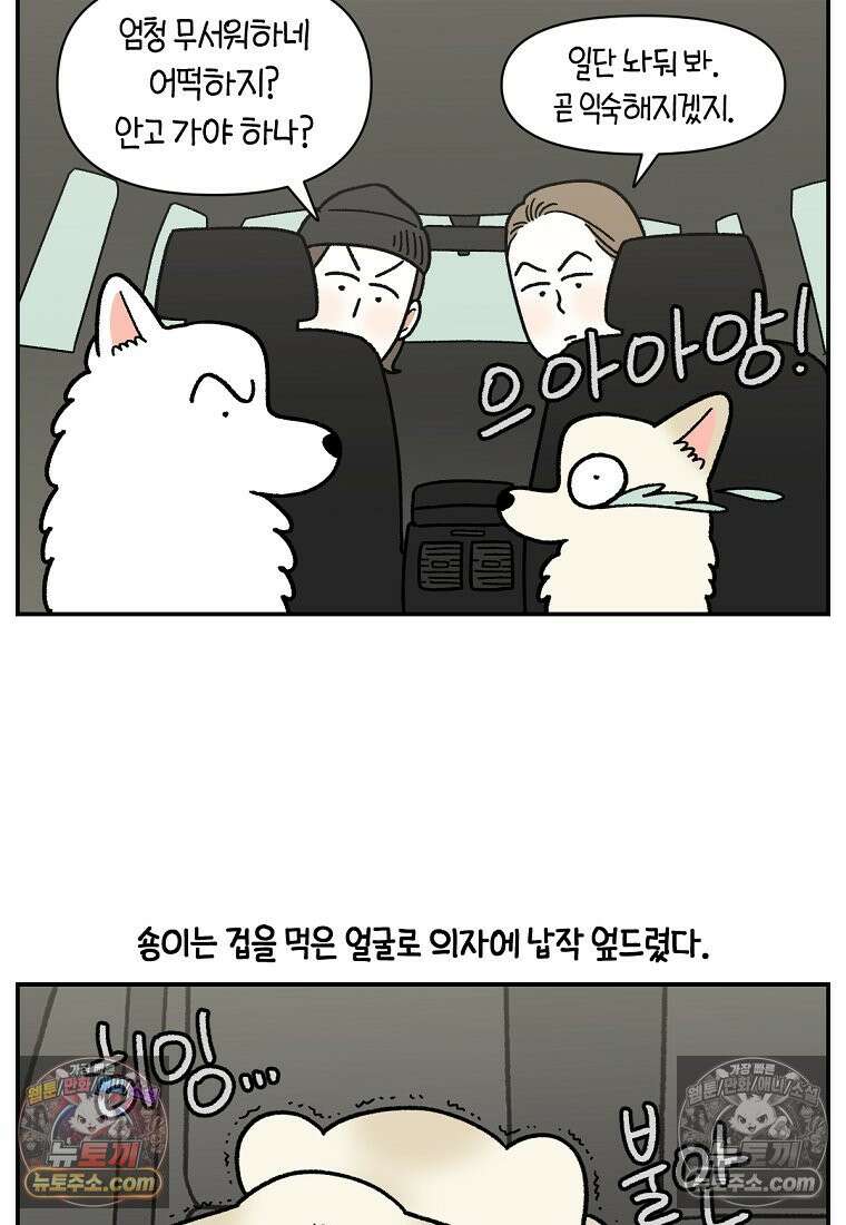 극한견주 시즌2 115화 자동차타기 10