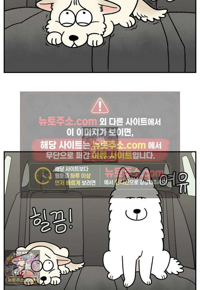 극한견주 시즌2 115화 자동차타기 11