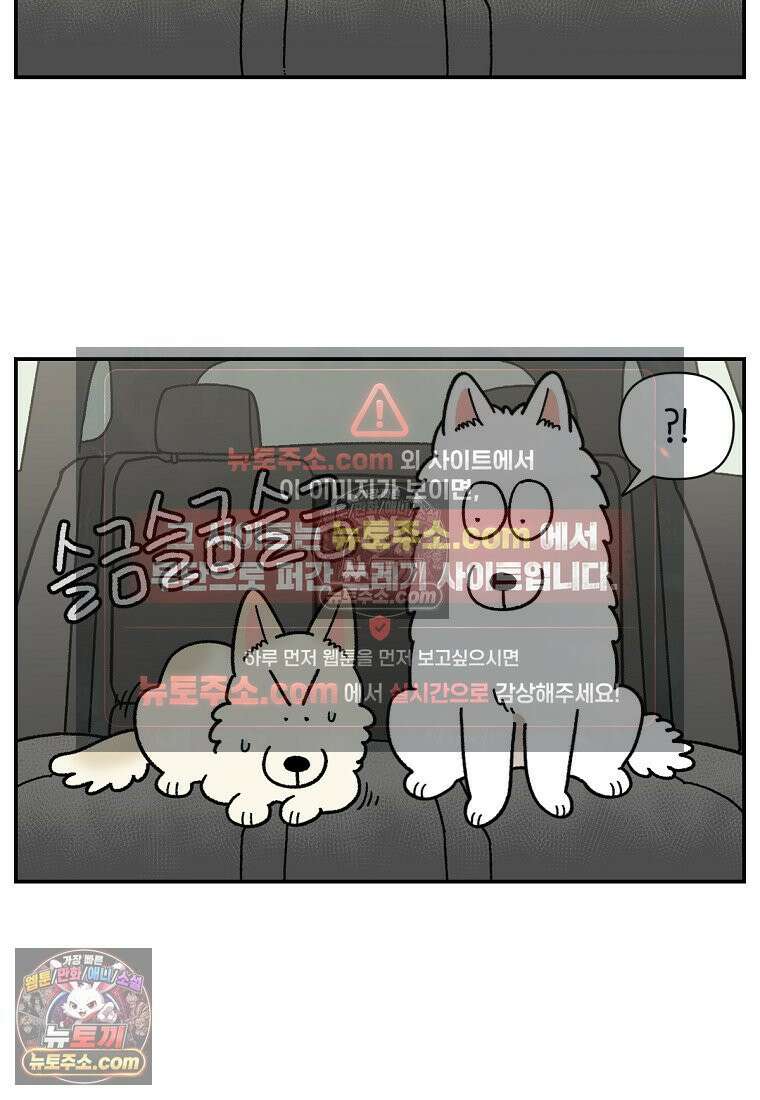 극한견주 시즌2 115화 자동차타기 12