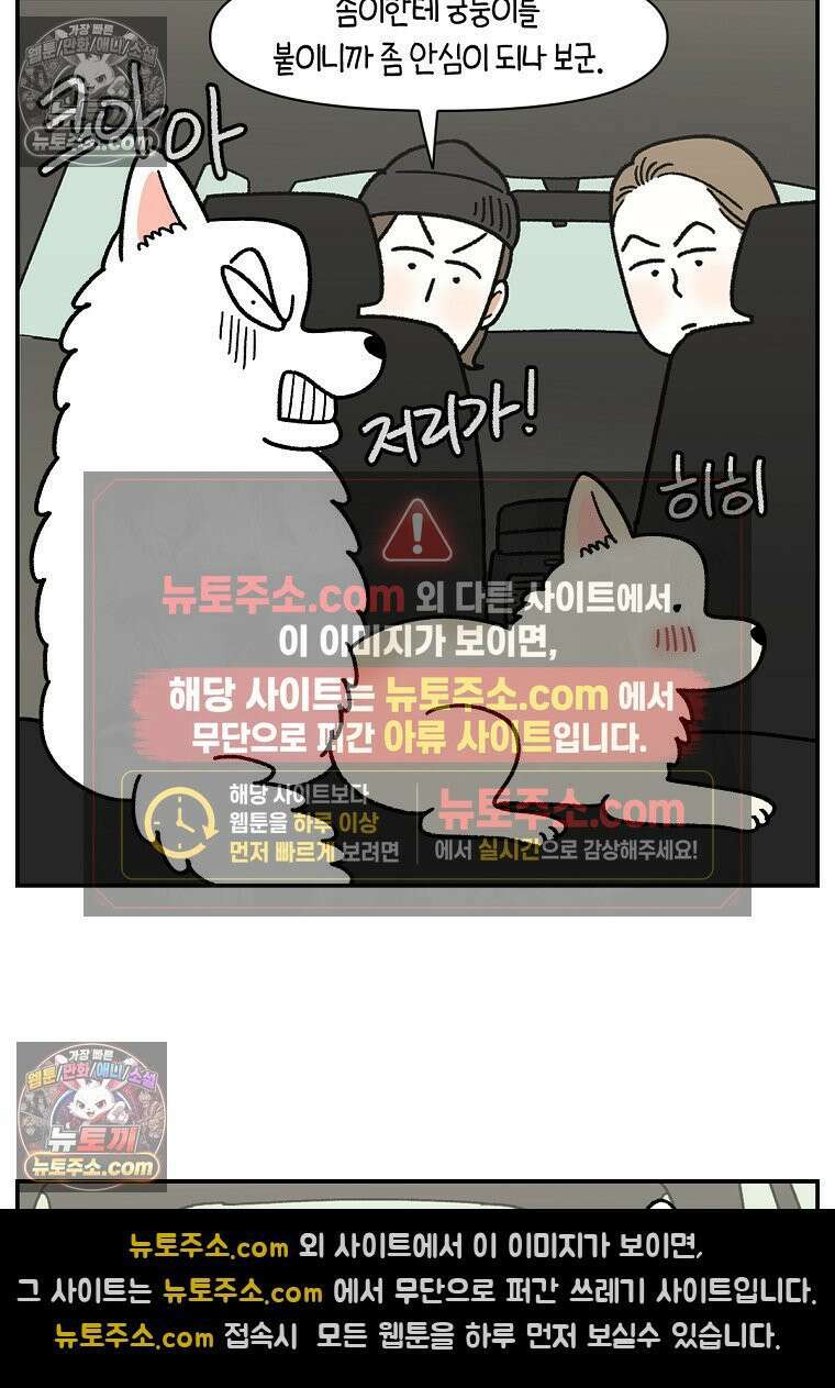 극한견주 시즌2 115화 자동차타기 14