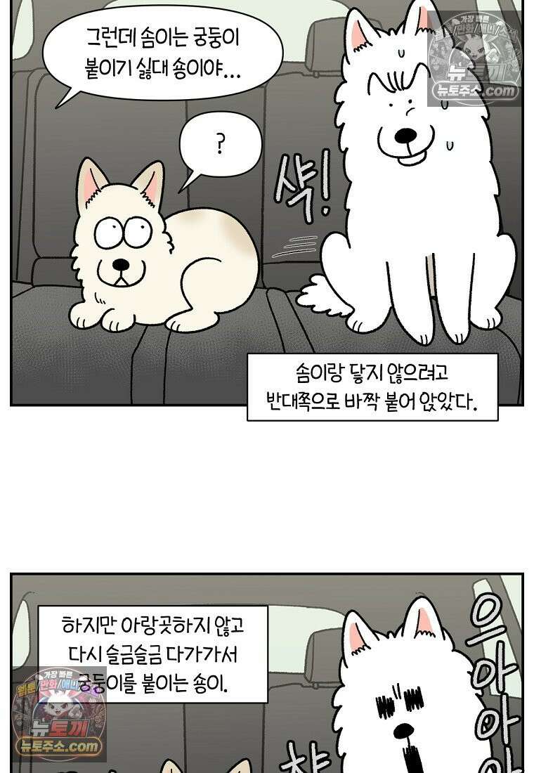 극한견주 시즌2 115화 자동차타기 15