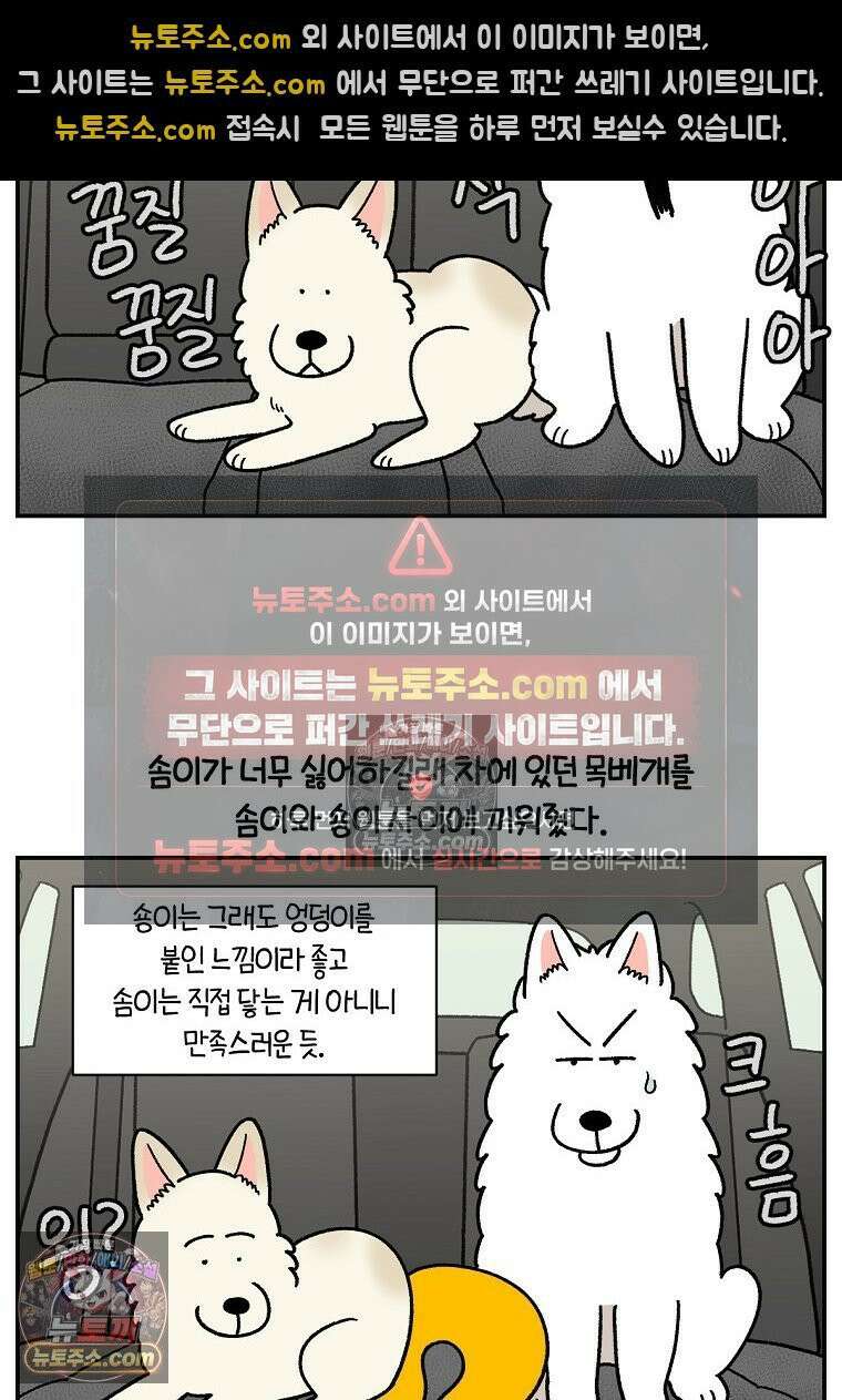 극한견주 시즌2 115화 자동차타기 16