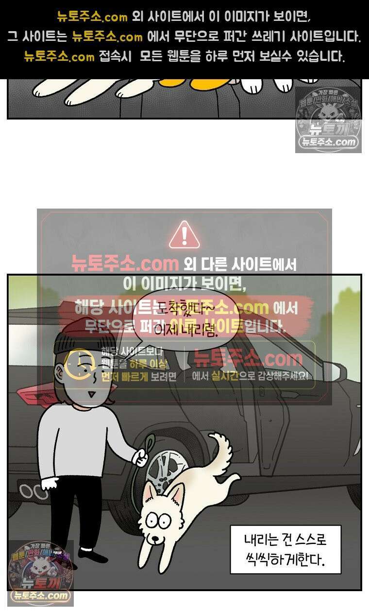 극한견주 시즌2 115화 자동차타기 17