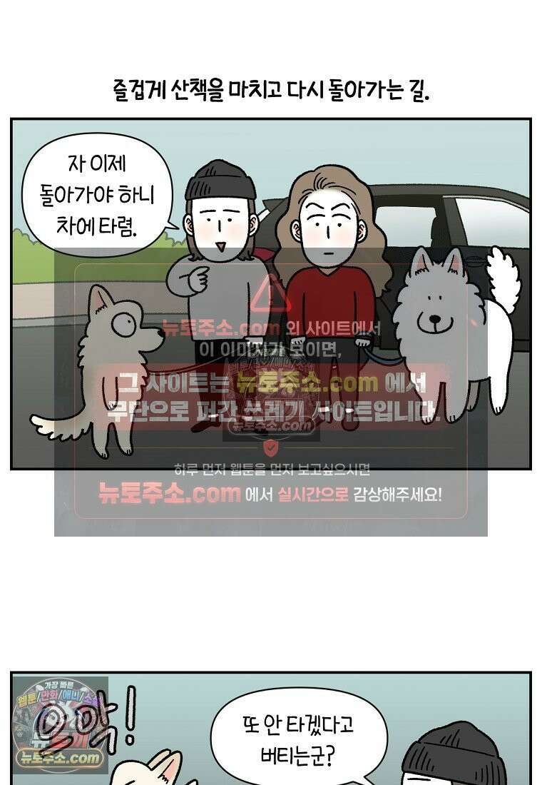 극한견주 시즌2 115화 자동차타기 19