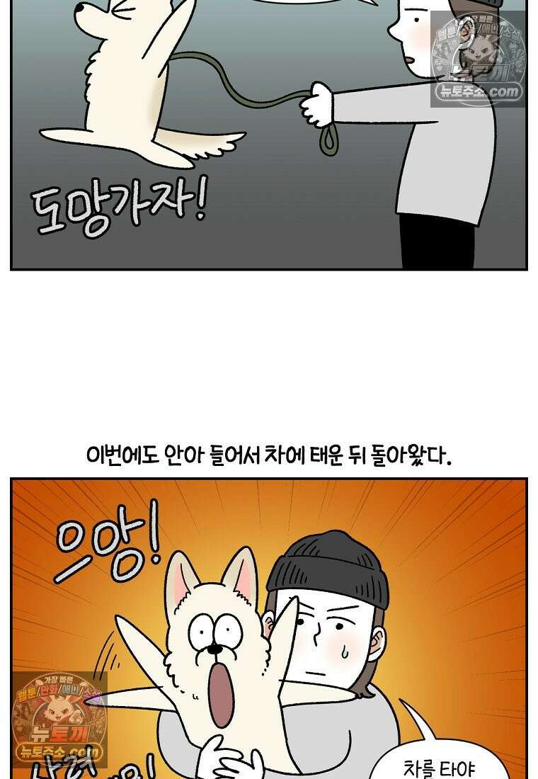 극한견주 시즌2 115화 자동차타기 20