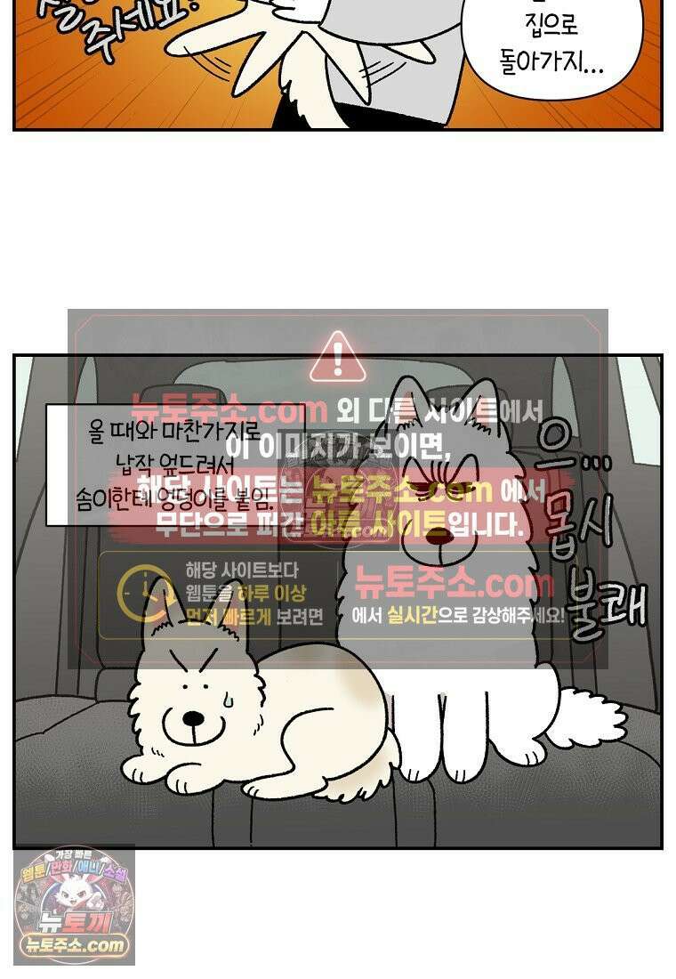 극한견주 시즌2 115화 자동차타기 21