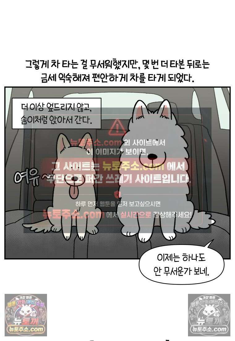 극한견주 시즌2 115화 자동차타기 22