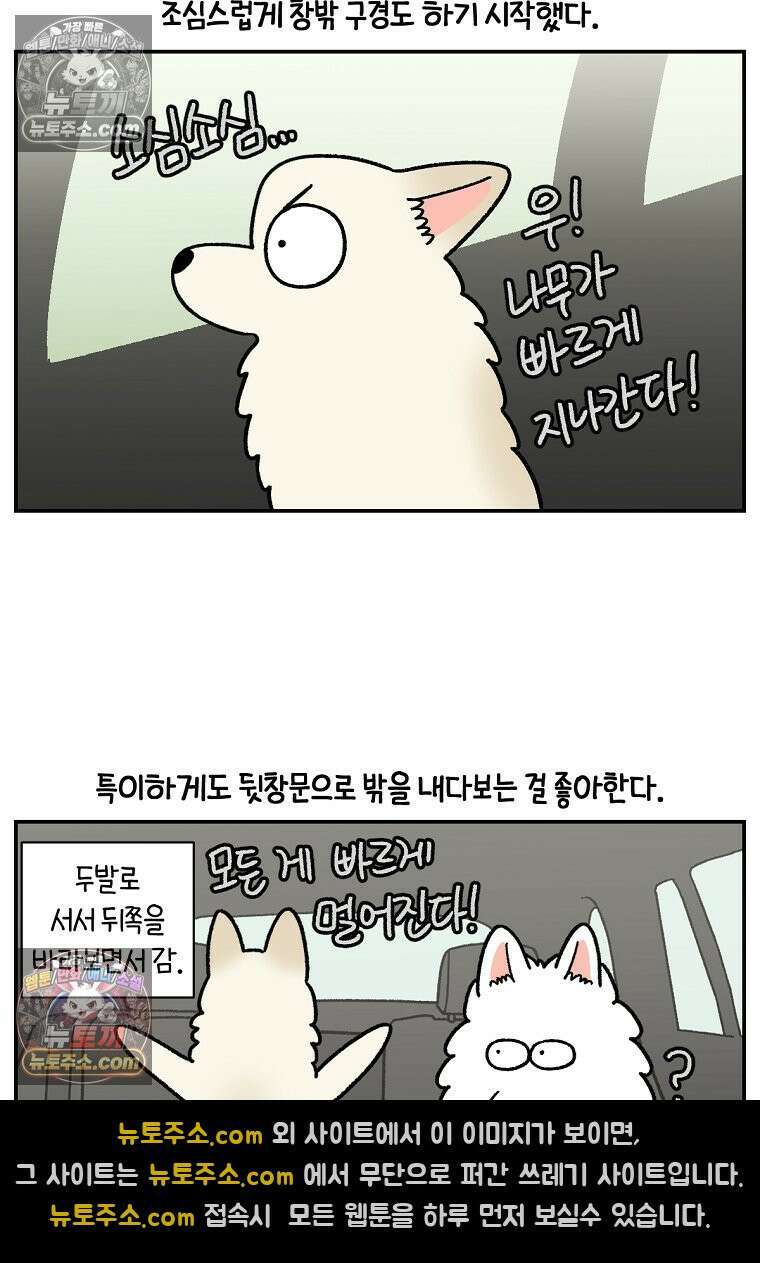 극한견주 시즌2 115화 자동차타기 23