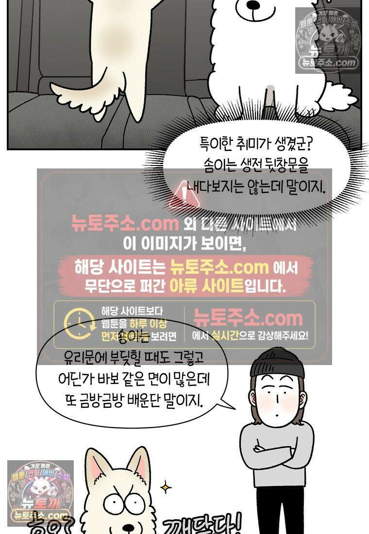 극한견주 시즌2 115화 자동차타기 24