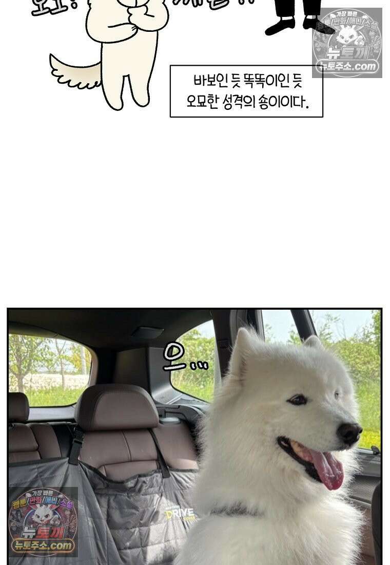 극한견주 시즌2 115화 자동차타기 25