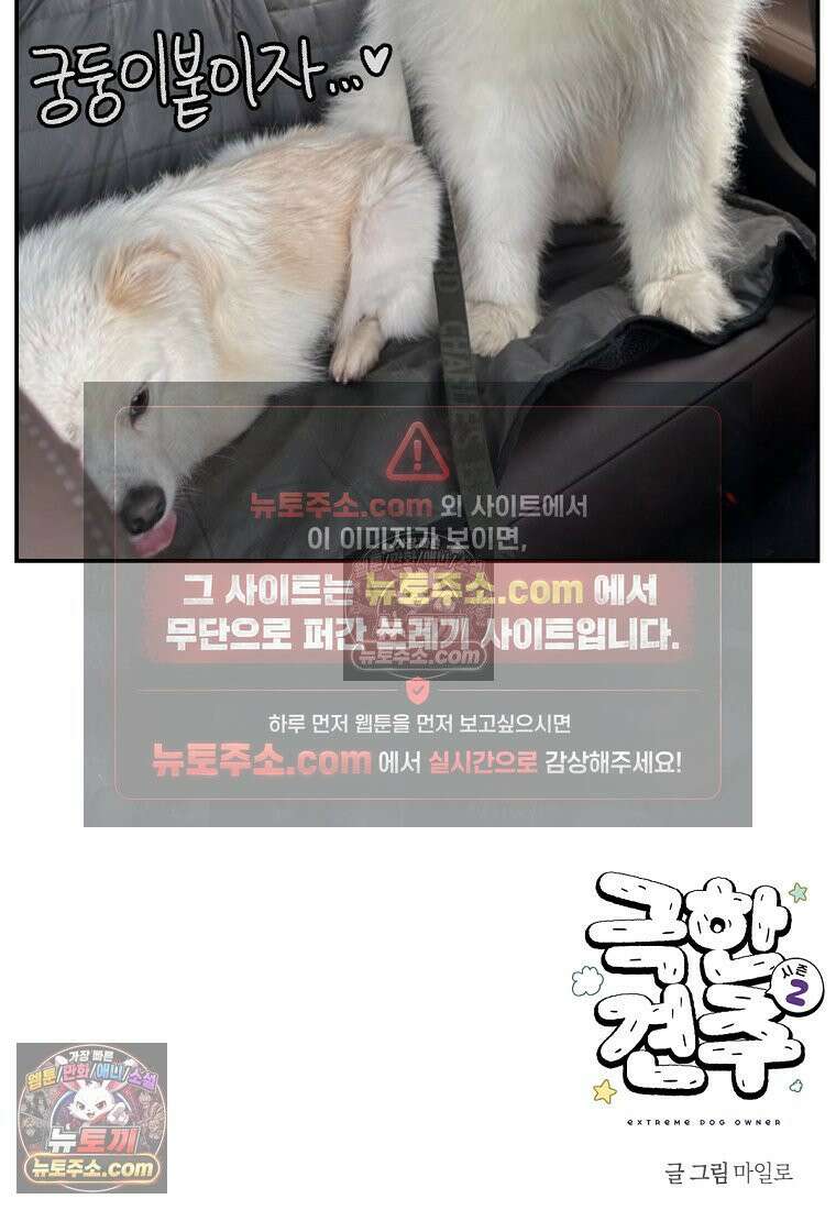 극한견주 시즌2 115화 자동차타기 26