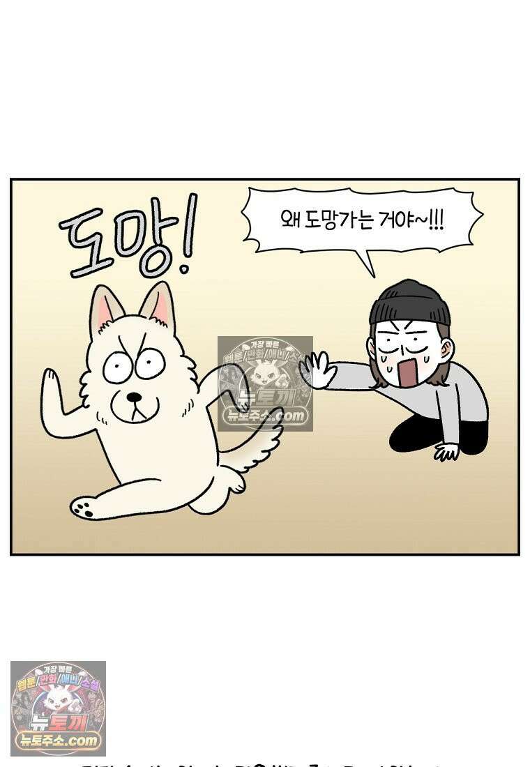 극한견주 시즌2 125화 자꾸 껴안고 싶음 6