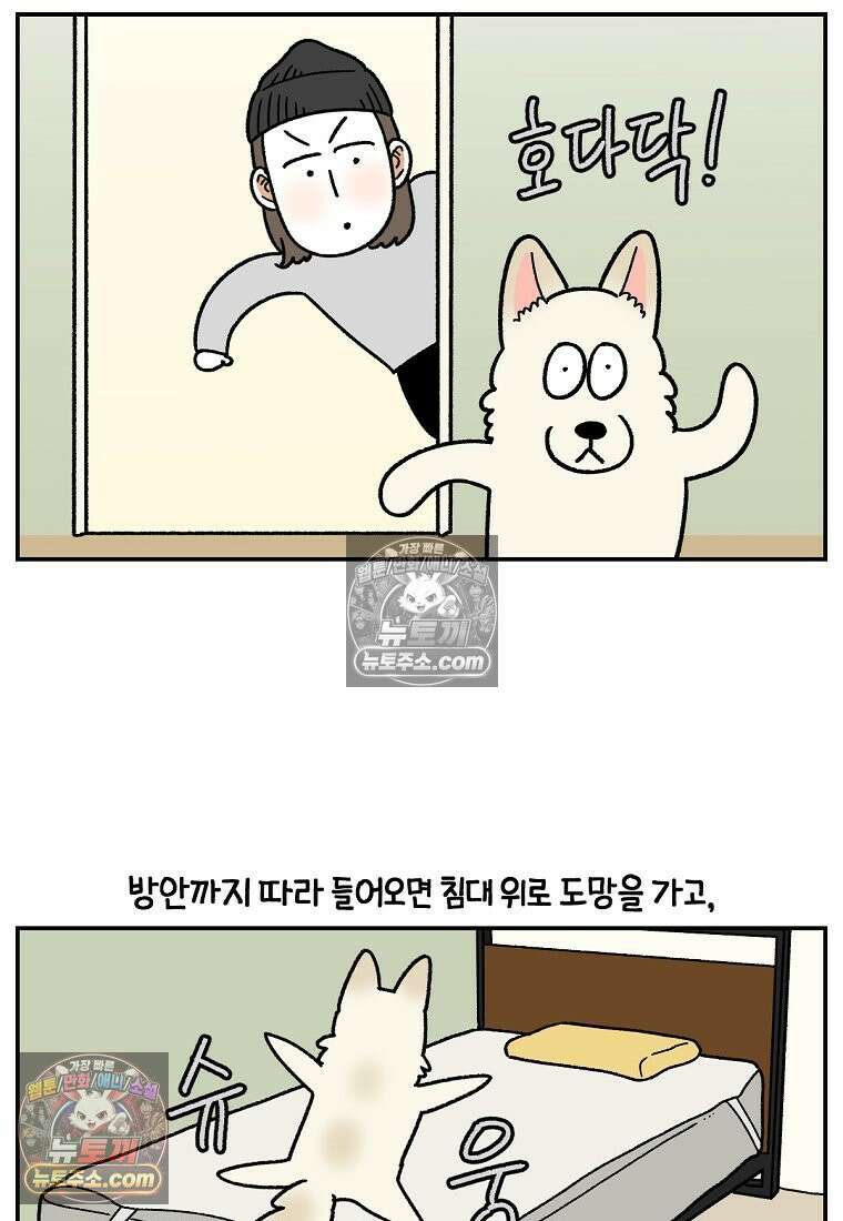 극한견주 시즌2 125화 자꾸 껴안고 싶음 19