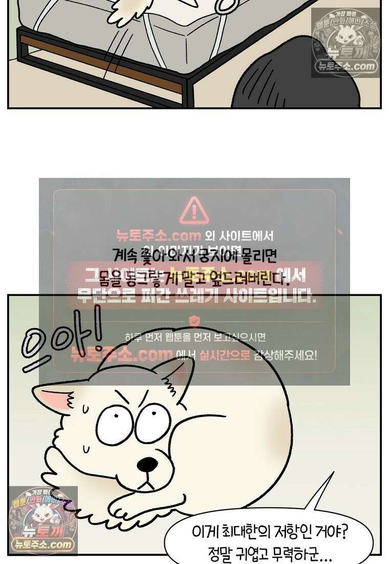 극한견주 시즌2 125화 자꾸 껴안고 싶음 20