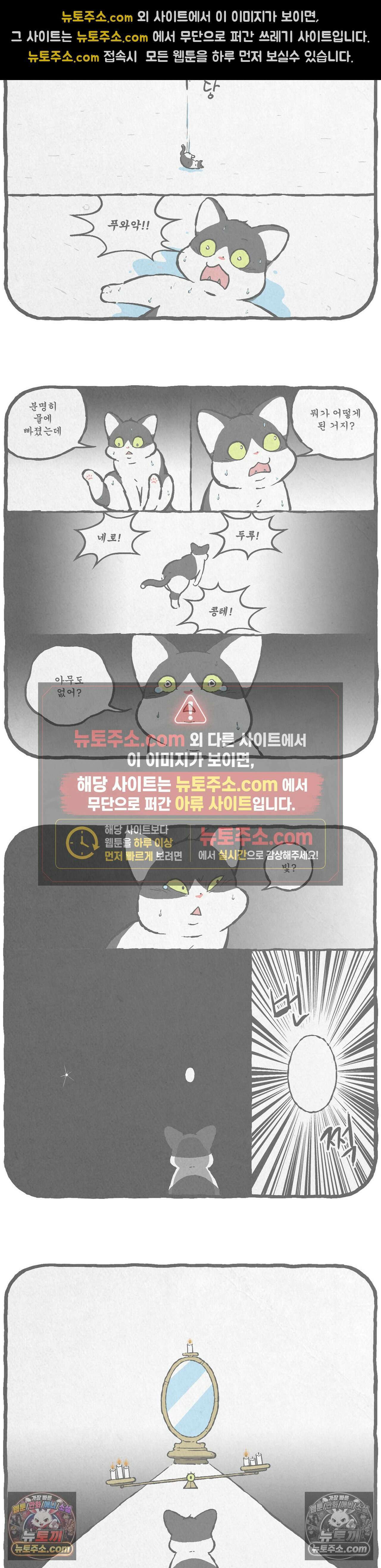 고로애옳 16화 3