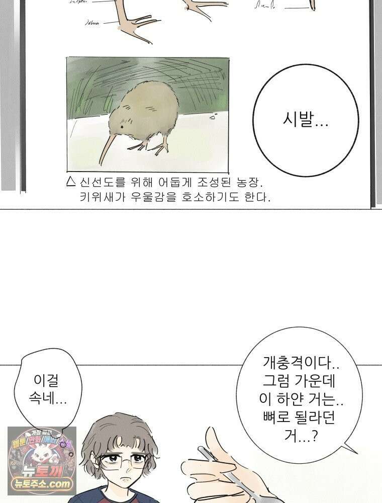 생각해볼게 ＃22． 키위의 비밀 41