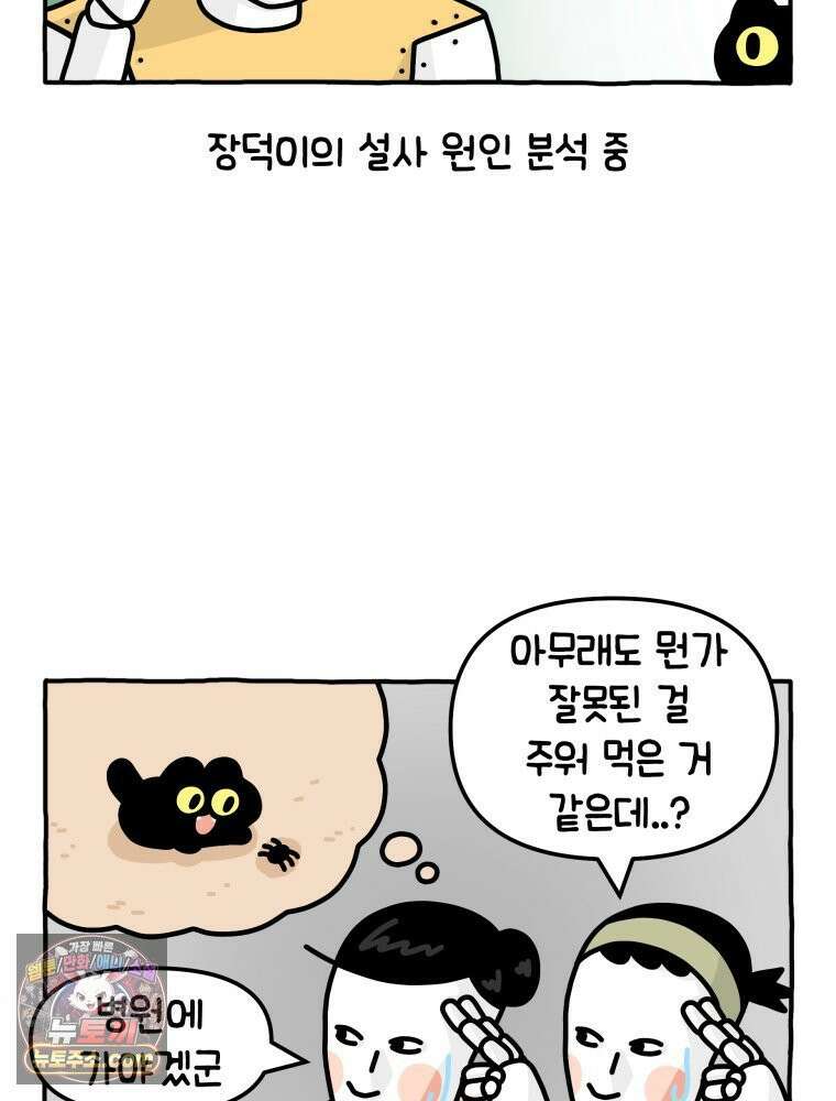 먼지 덩어리 짱덕 4． 고양이와 응급실 11