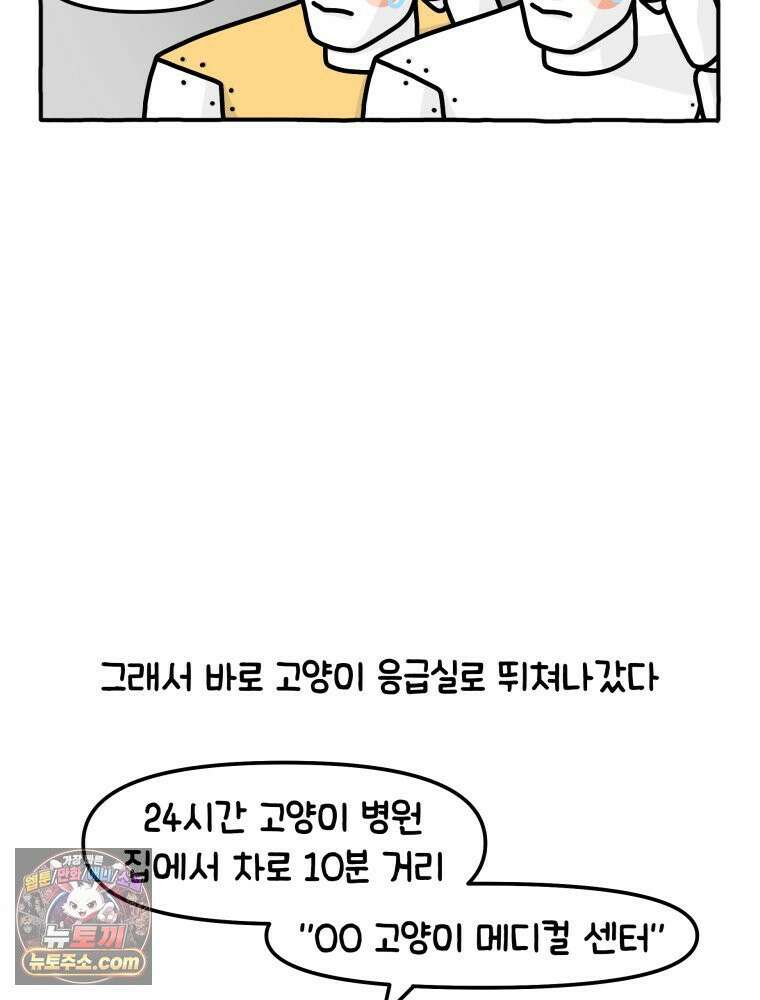 먼지 덩어리 짱덕 4． 고양이와 응급실 12