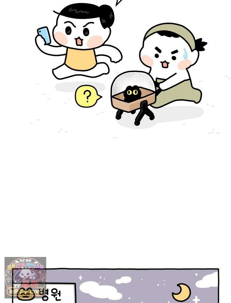 먼지 덩어리 짱덕 4． 고양이와 응급실 13