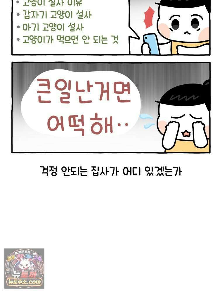 먼지 덩어리 짱덕 4． 고양이와 응급실 16