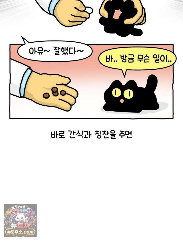 먼지 덩어리 짱덕 4． 고양이와 응급실 23