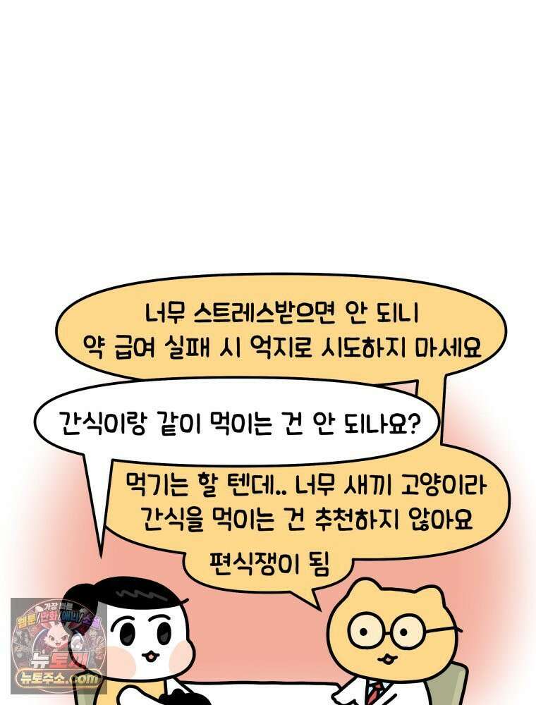 먼지 덩어리 짱덕 4． 고양이와 응급실 26