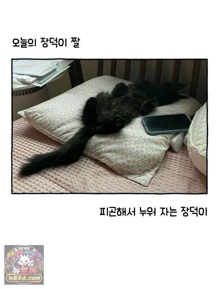 먼지 덩어리 짱덕 4． 고양이와 응급실 31