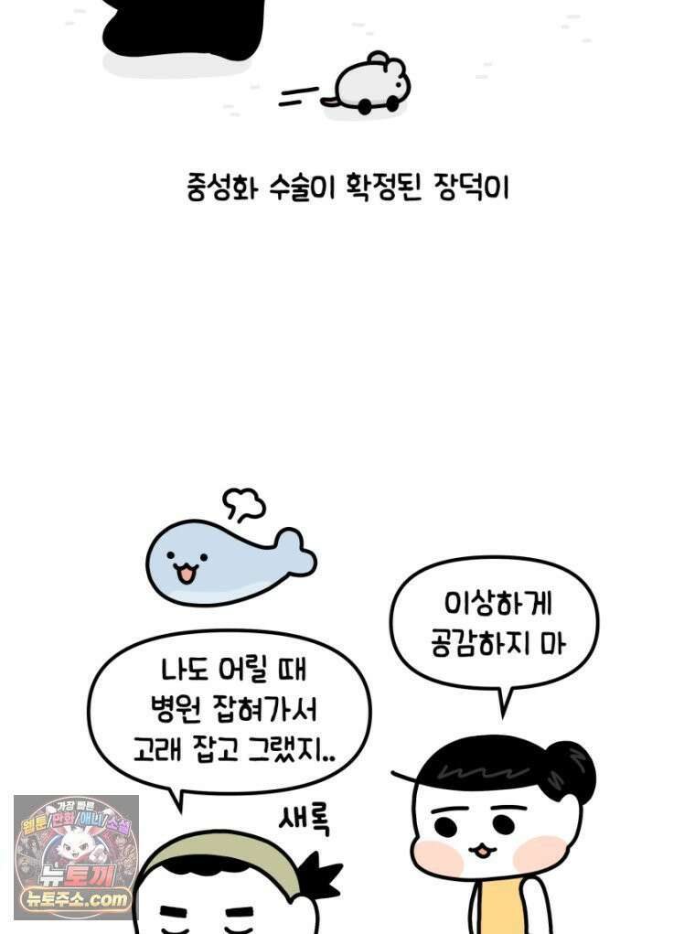 먼지 덩어리 짱덕 19． 중성화 수술 2 3