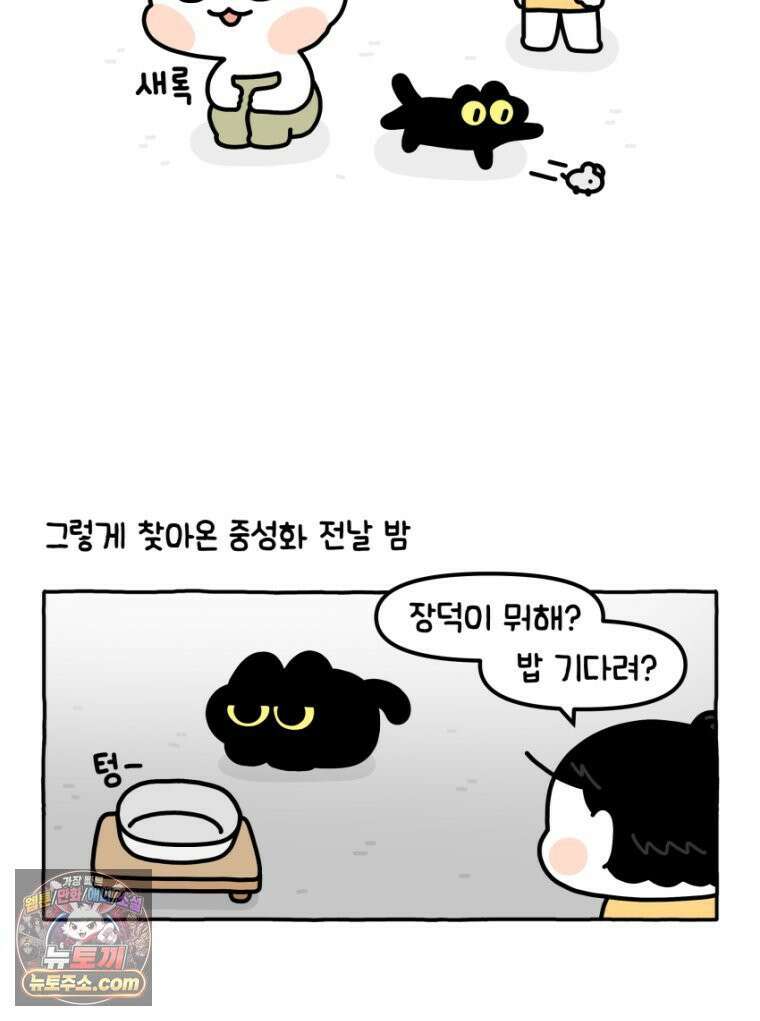 먼지 덩어리 짱덕 19． 중성화 수술 2 4