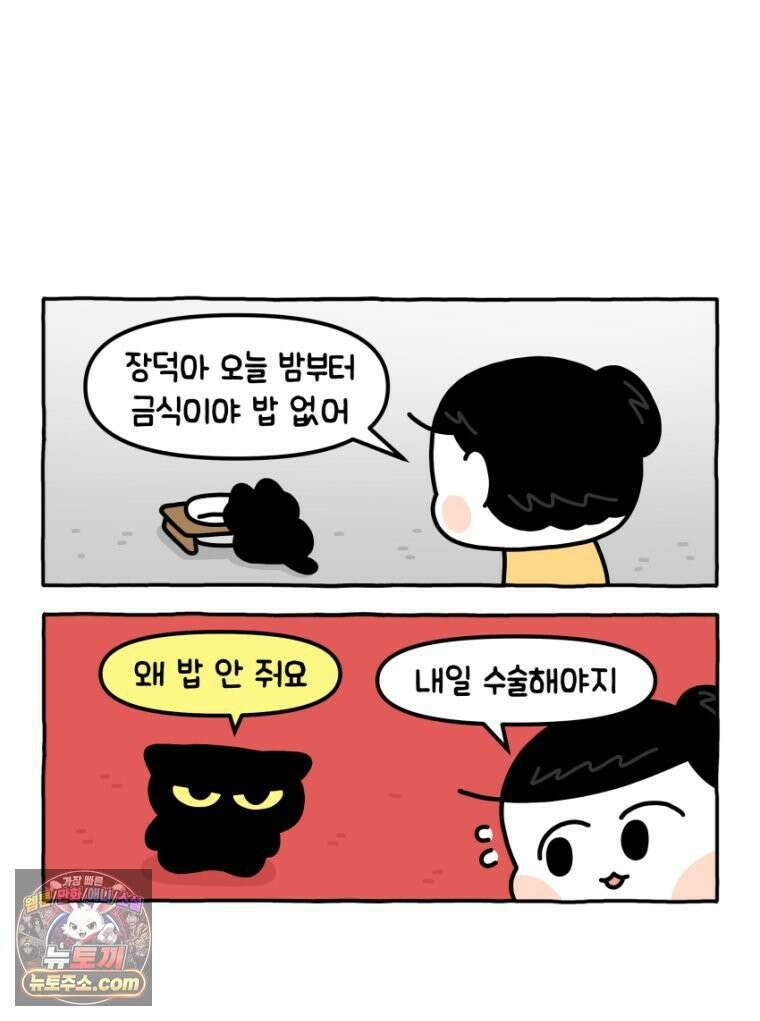 먼지 덩어리 짱덕 19． 중성화 수술 2 5