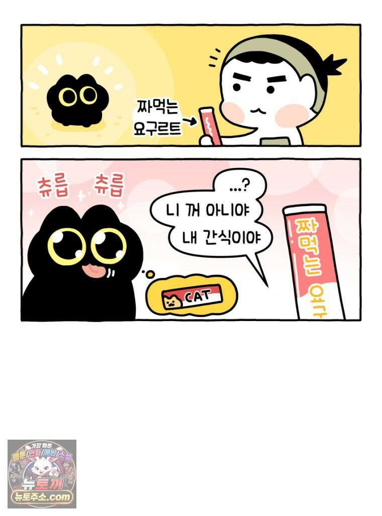 먼지 덩어리 짱덕 19． 중성화 수술 2 7