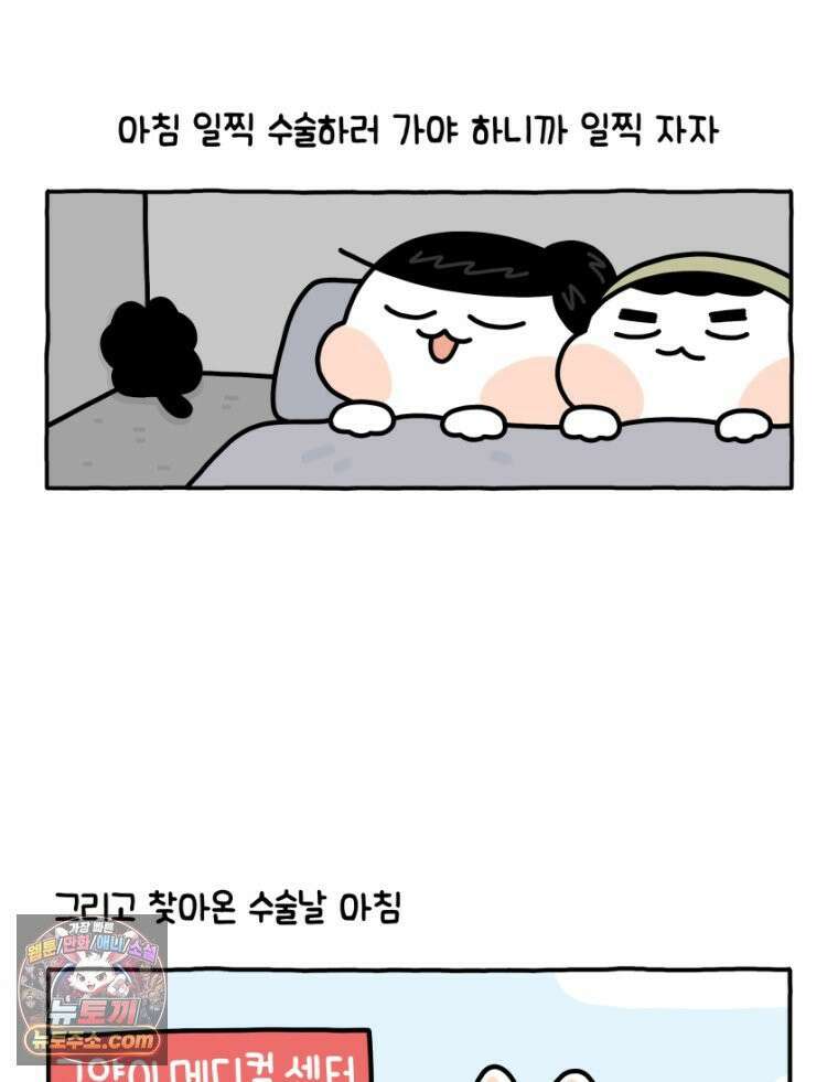 먼지 덩어리 짱덕 19． 중성화 수술 2 10