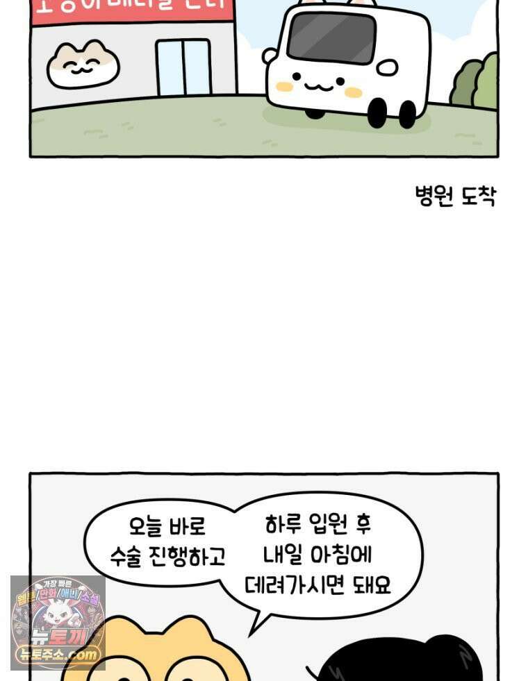 먼지 덩어리 짱덕 19． 중성화 수술 2 11