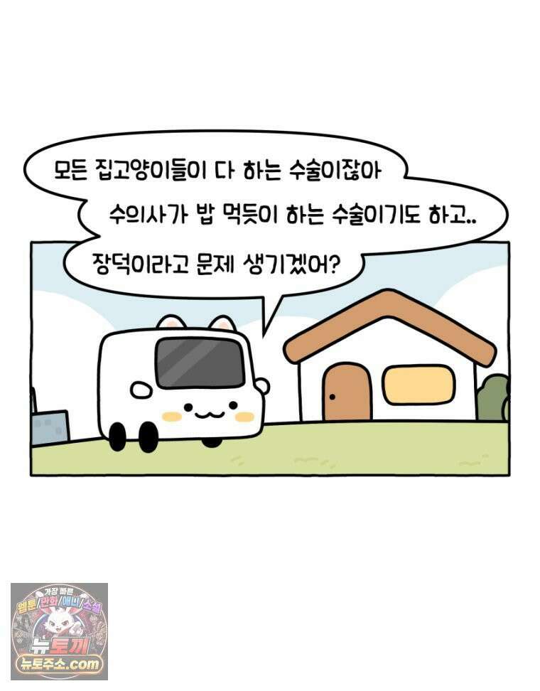 먼지 덩어리 짱덕 19． 중성화 수술 2 16