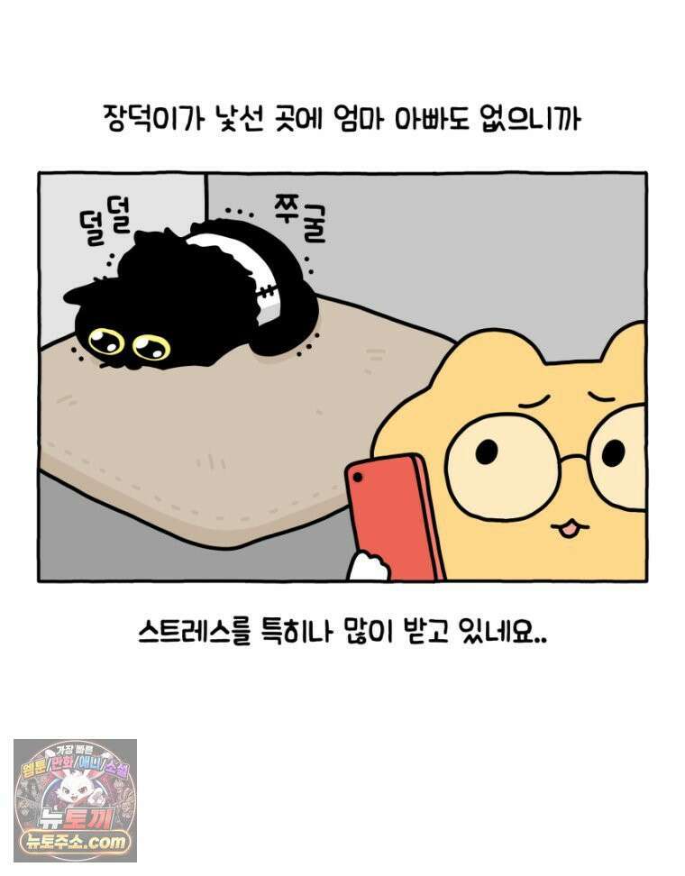 먼지 덩어리 짱덕 19． 중성화 수술 2 19