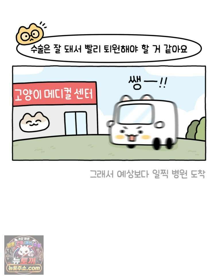 먼지 덩어리 짱덕 19． 중성화 수술 2 20