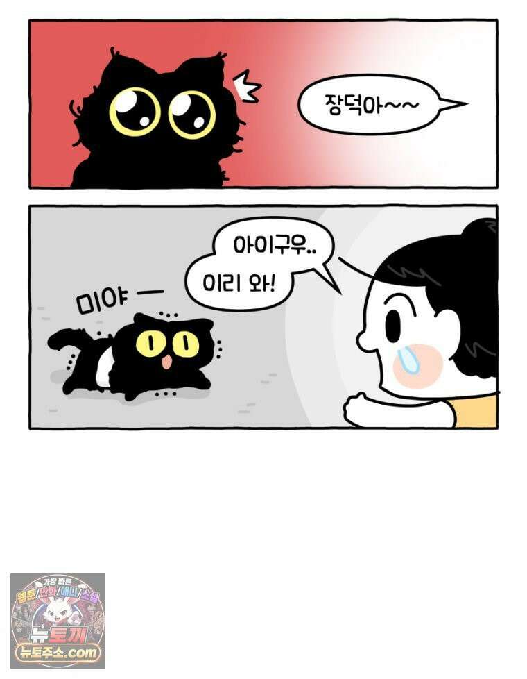 먼지 덩어리 짱덕 19． 중성화 수술 2 21