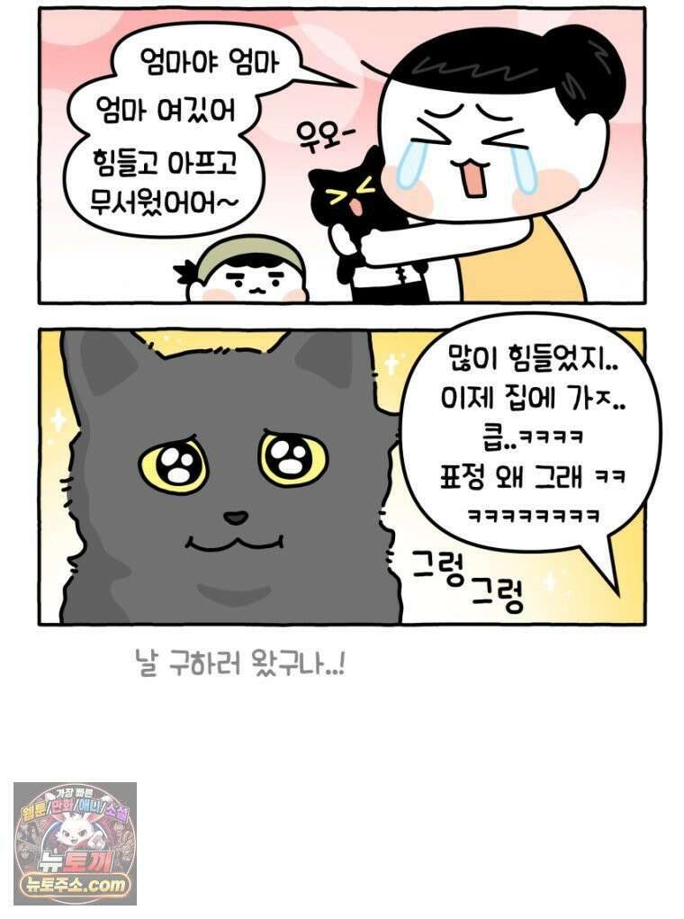 먼지 덩어리 짱덕 19． 중성화 수술 2 22