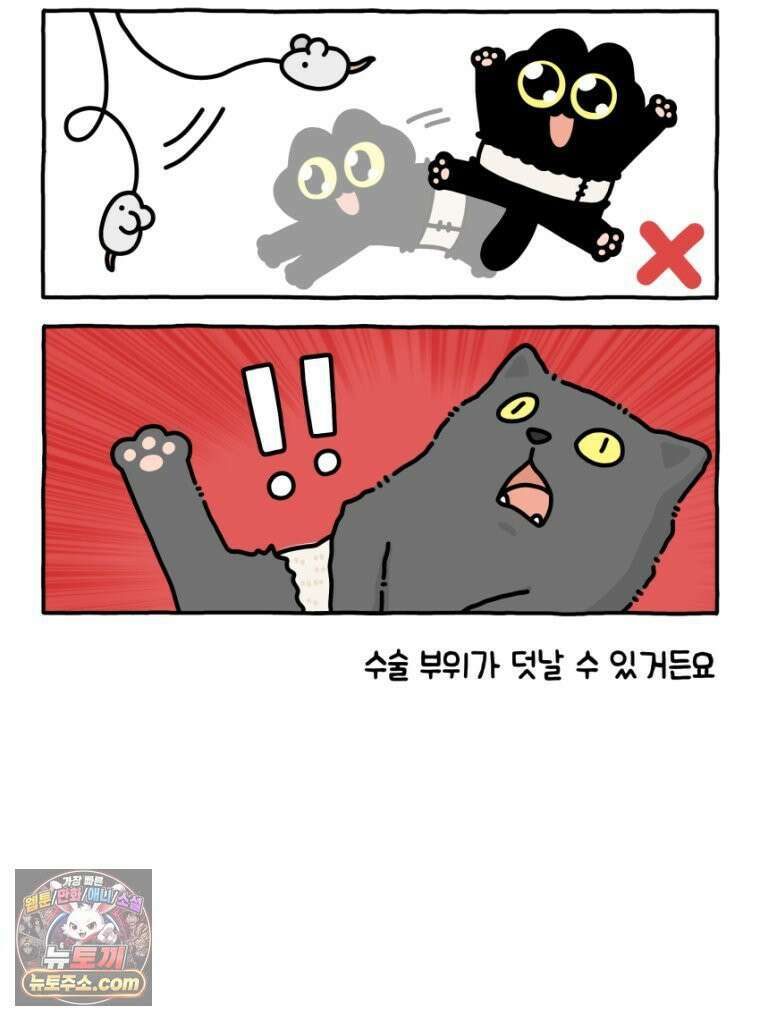 먼지 덩어리 짱덕 19． 중성화 수술 2 25