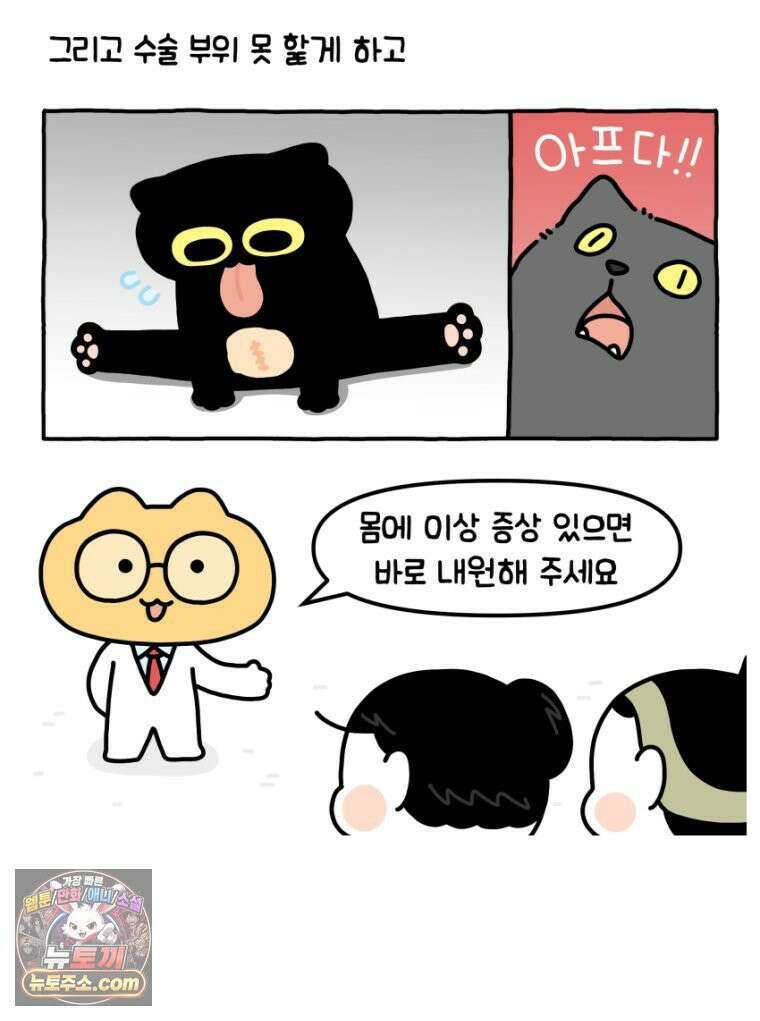 먼지 덩어리 짱덕 19． 중성화 수술 2 26