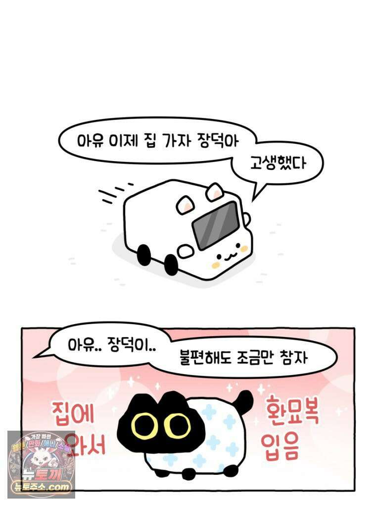 먼지 덩어리 짱덕 19． 중성화 수술 2 27