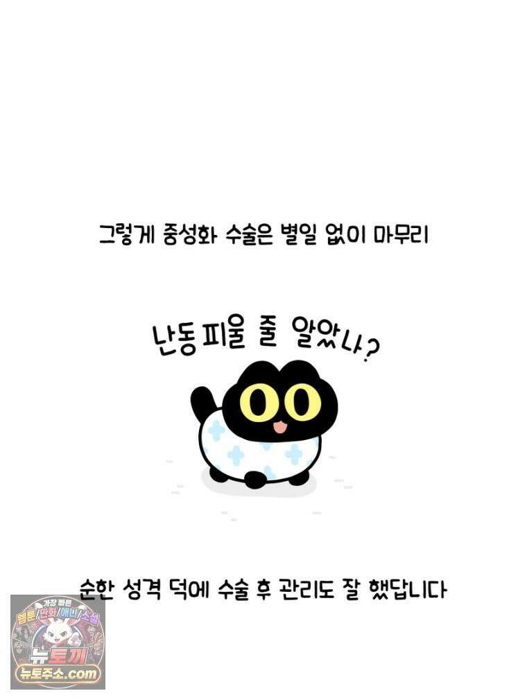 먼지 덩어리 짱덕 19． 중성화 수술 2 31